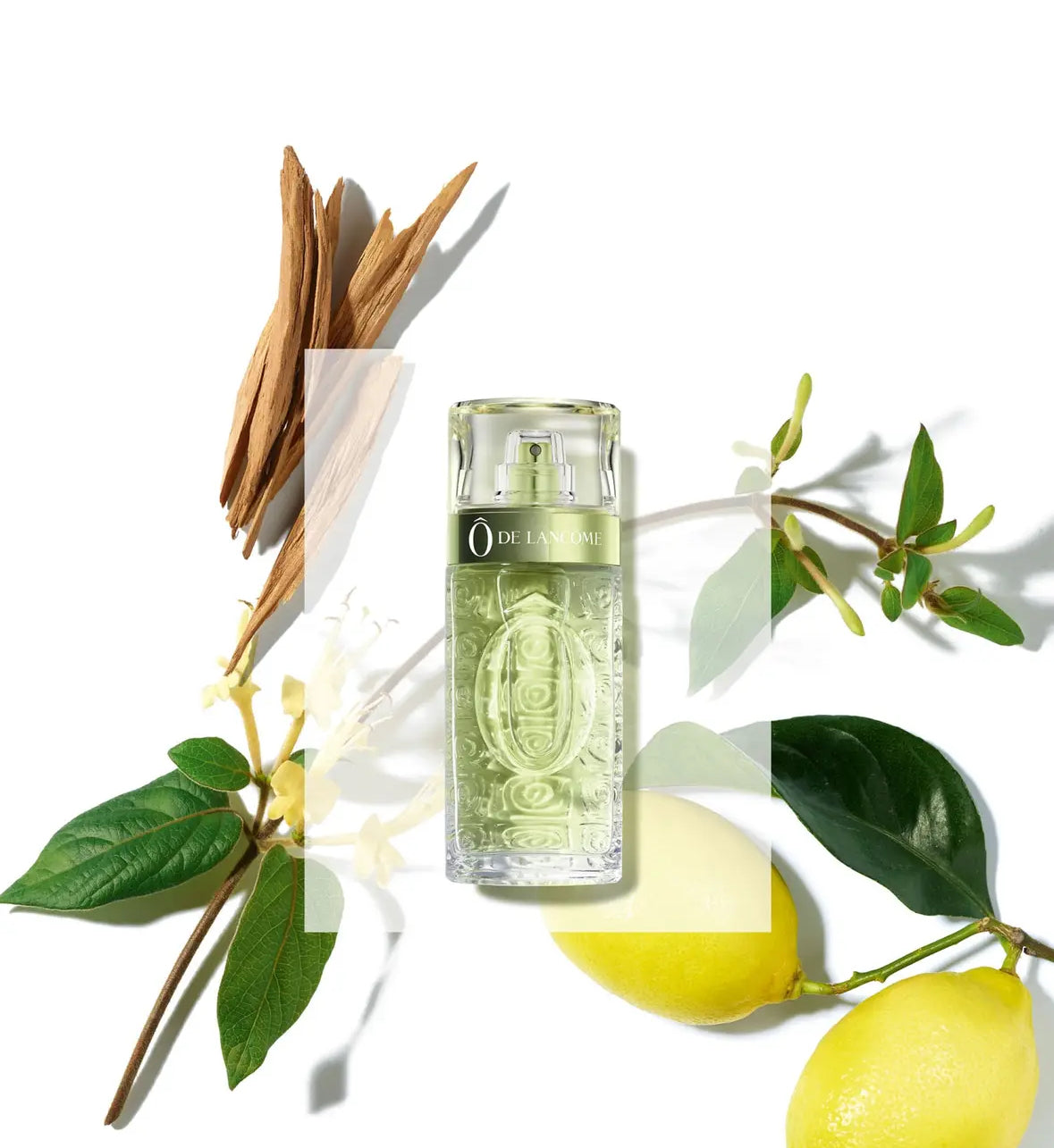 Perfume Mujer Ô De Lancôme Eau De Toilette 125 Ml Edl - Lancome