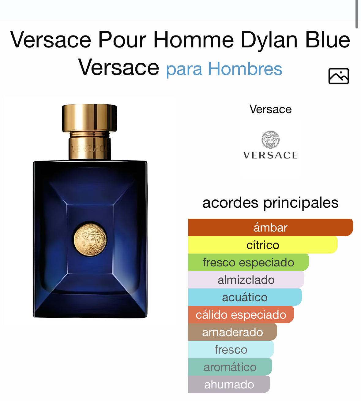Perfume hombre DYLAN BLUE EDT 200ML - VERSACE