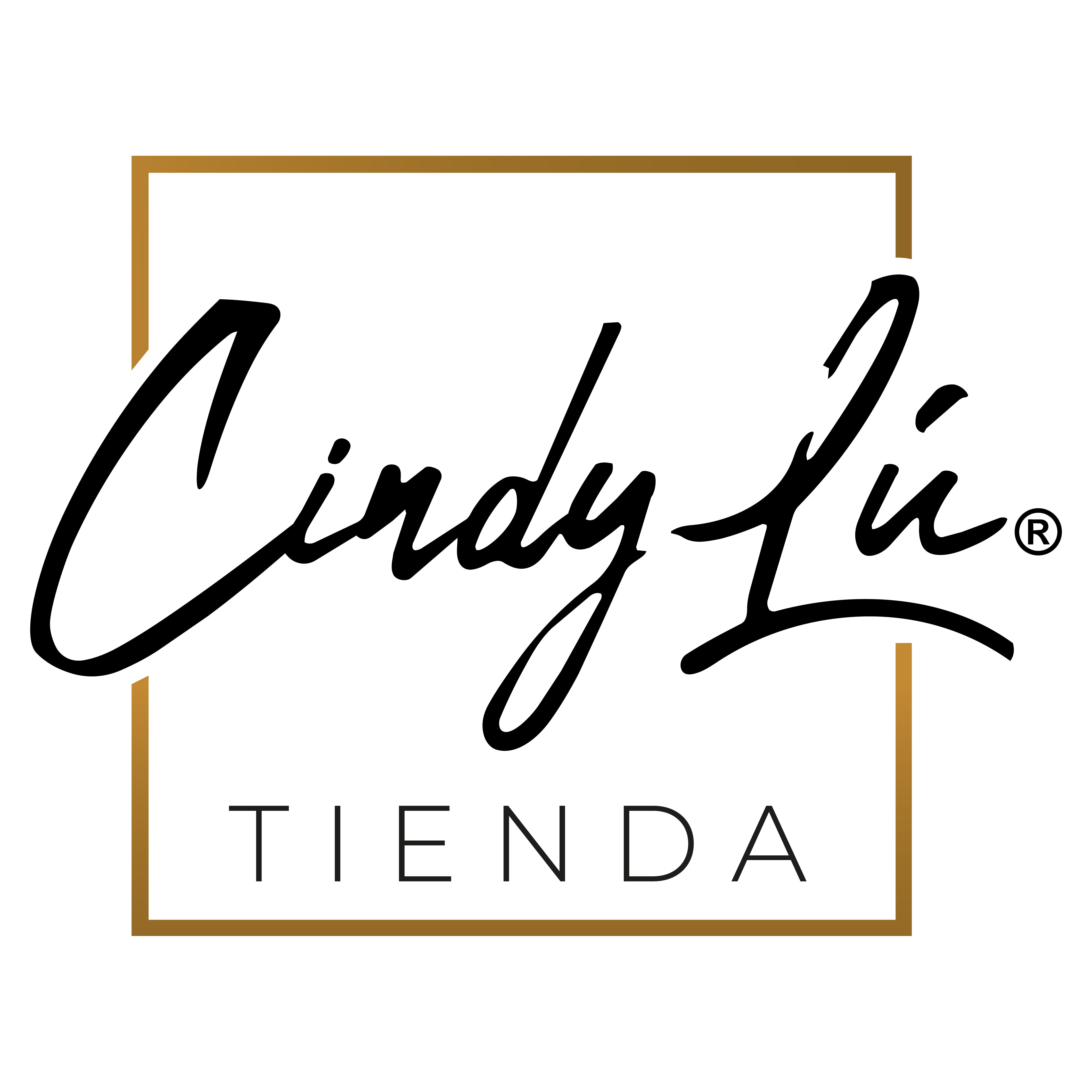 TIENDA Y SERVICIOS CINDYLÚ SpA.
