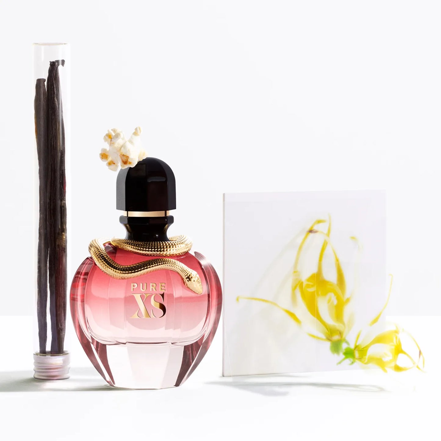 PERFUME MUJER PURE XS 80ML EDP - PACO RABANNE